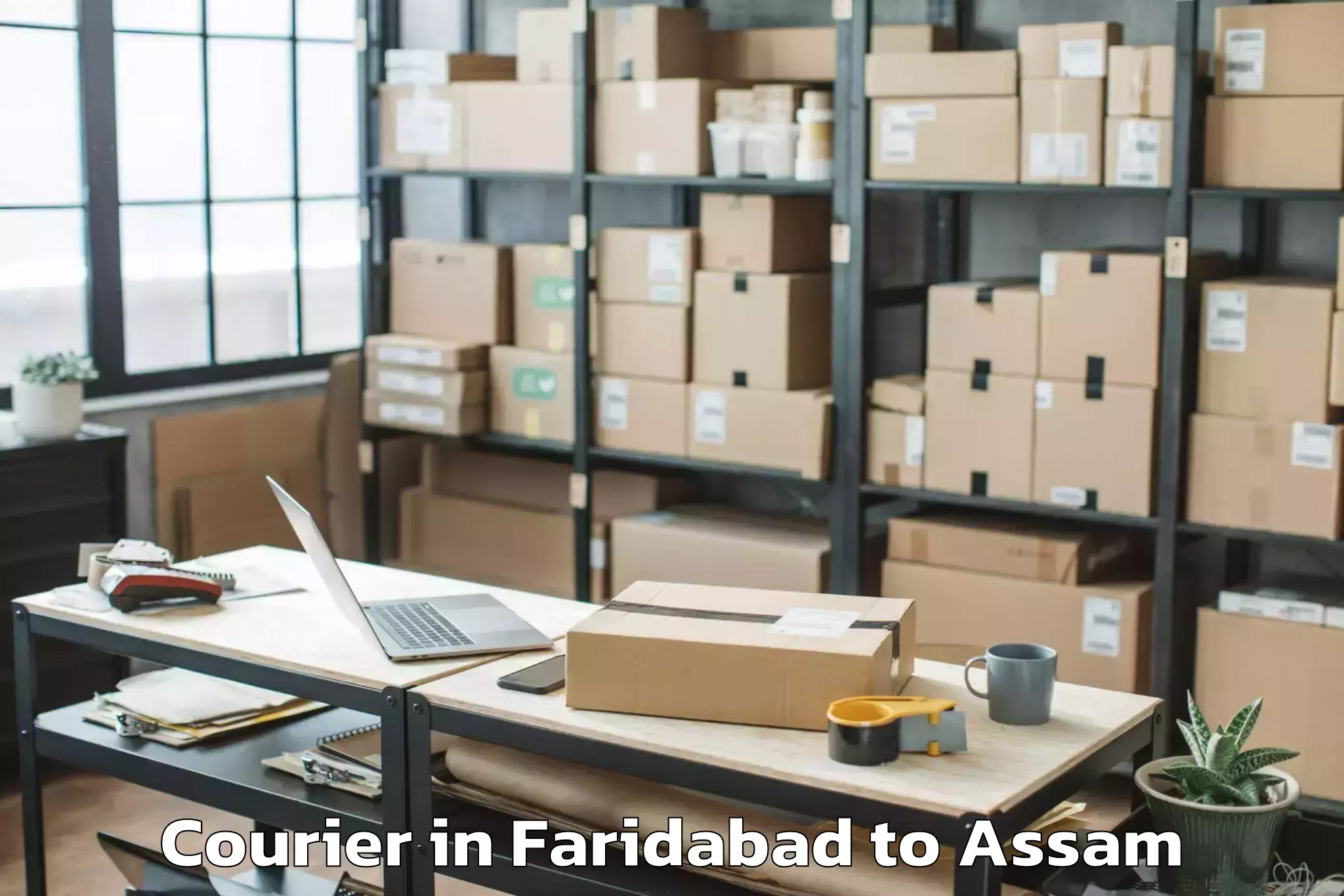 Get Faridabad to Ramkrishna Nagar Karimganj Courier